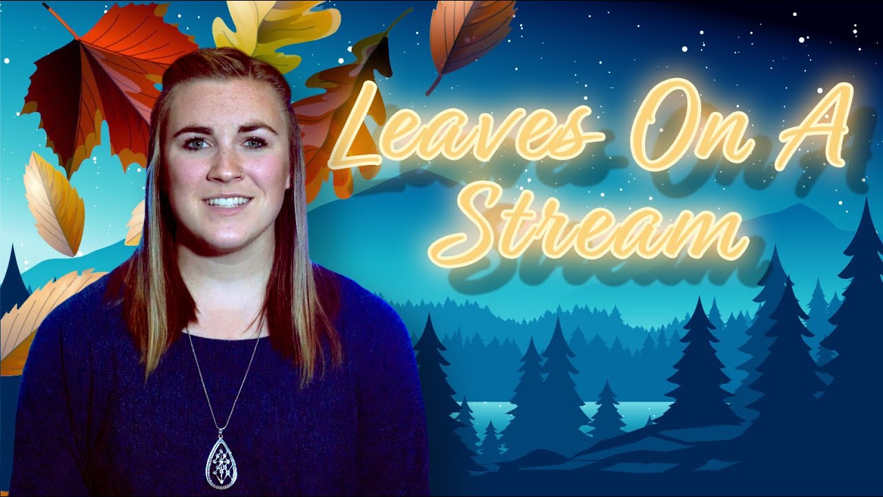 Leaves on a Stream Guided Meditation | Acceptance & Commitment Therapy | Psychology | Anxiety