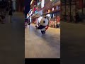 中国の犬の散歩がやばい#shorts