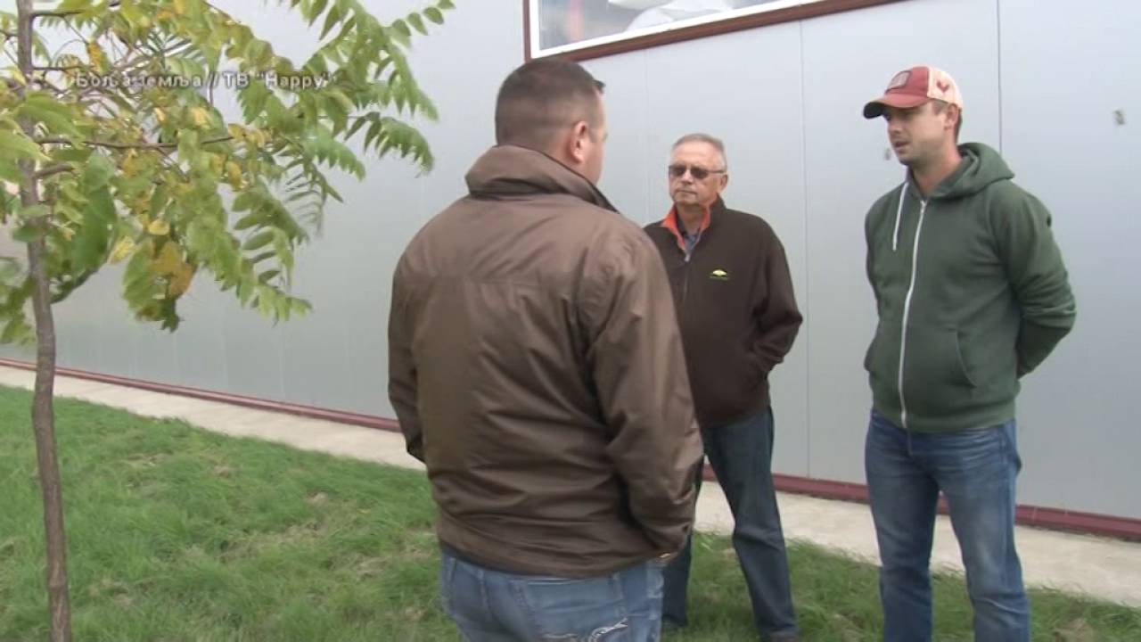 Americki crni orah - plantaze za furnirsko drvo