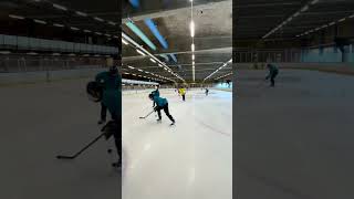 Intensive summer hockey camp Sweden Malmo 7/2023