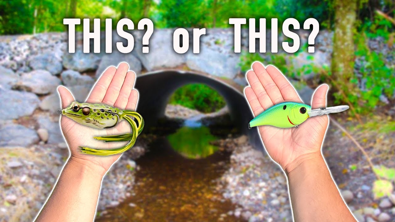 What are The Bass Doing? (How to Catch Late Spring Bass) YouTube