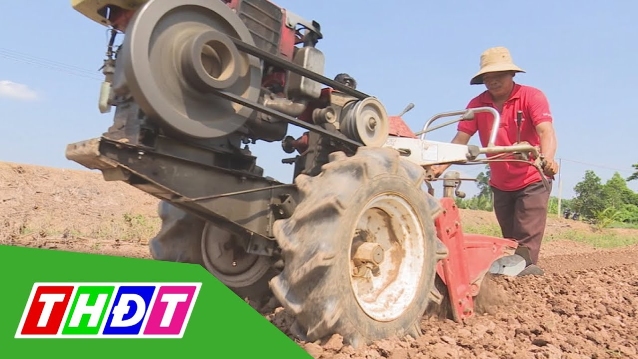 Cải tiến máy xới đa năng phục vụ làm đất trồng rau màu | Khoa học Công nghệ | THDT
