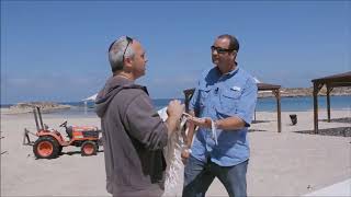 Tekhelet Is Always Beautiful - Dr. Baruch Sterman