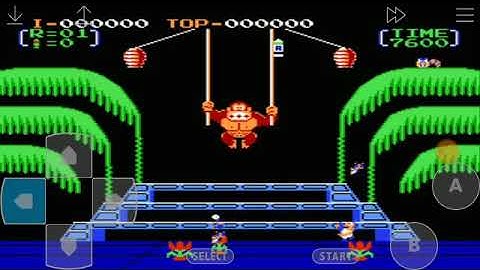 Game Over: Donkey Kong 3 (NES)