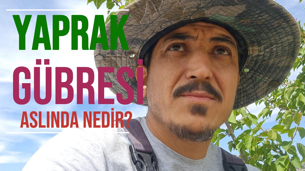 YAPRAK GÜBRESİ ASLINDA NEDİR?