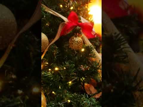 【クリスマス】突然現れた謎の関西弁サンタに祝福されるクリスマス【シチュボ】《シチュエーションボイス 全年齢向け》