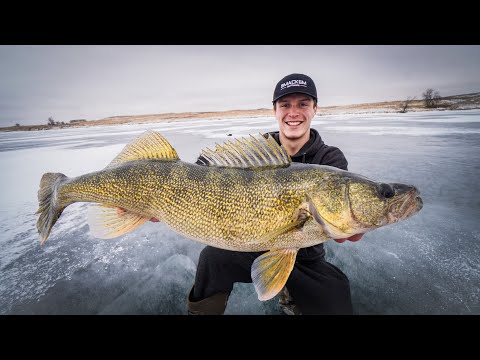 Overnight Winter Camping for GIANT Walleyes!