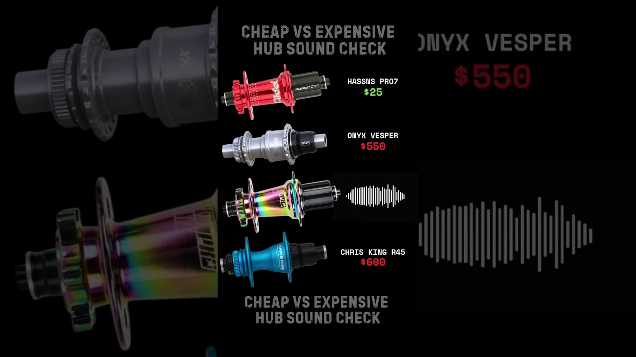 💸Cheap $25 VS Expensive $600🤑 MTB Hub Sound - Chris King R45, Hasnns Pro7, Onyx Vesper, Koozer XM490