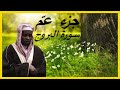 جزء عم سورة البروج بصوت امام فيصل