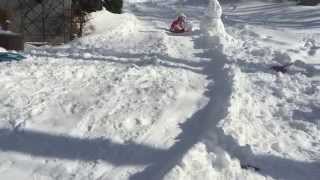 Dalia's Epic Sled Track Toboggan Run