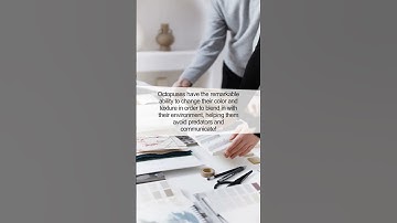 The Fascinating World of Octopuses: Color-Changing Masters!