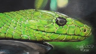 Como Dibujar una Serpiente Realista