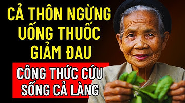 Bà 98 Tuổi Khẳng Định: Canh Lá Lốt Ăn 3 Lần/ Tuần, Cột Sống Linh Hoạt Trở Lại