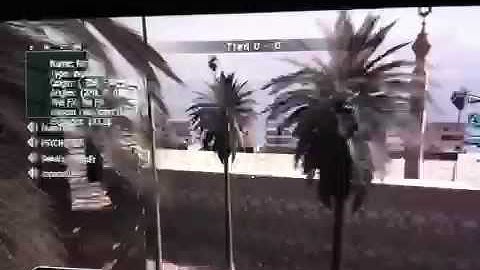 WTF COD4 Hack
