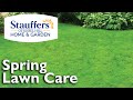 Learn About Spring Lawn Care!
