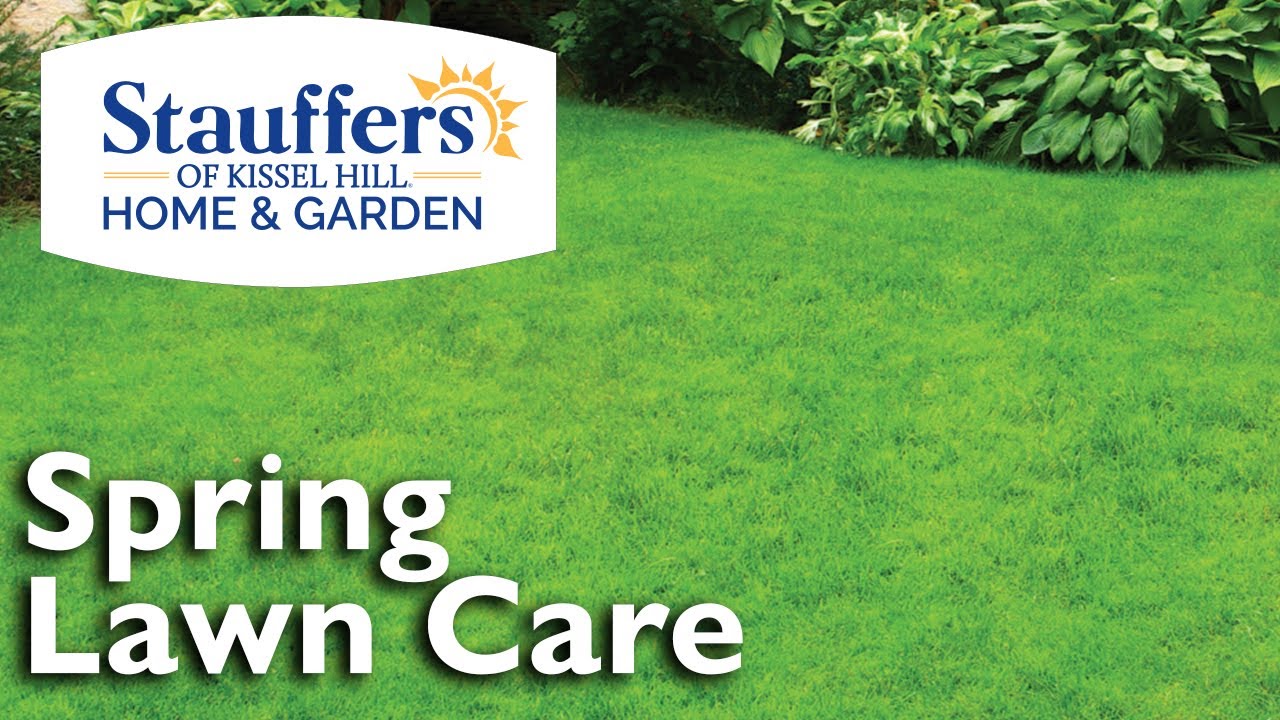 Learn About Spring Lawn Care! YouTube