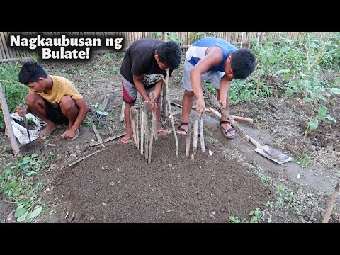 ผลสลากกินแบ่งรัฐบาล วันที่ 1 พย. 2567