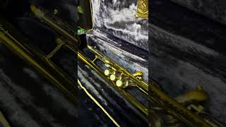 Mount Vernon Bach Stradivarius 37L Bb #trumpet SN 26217 🎺 Find it at brassandwinds.com 🎶
