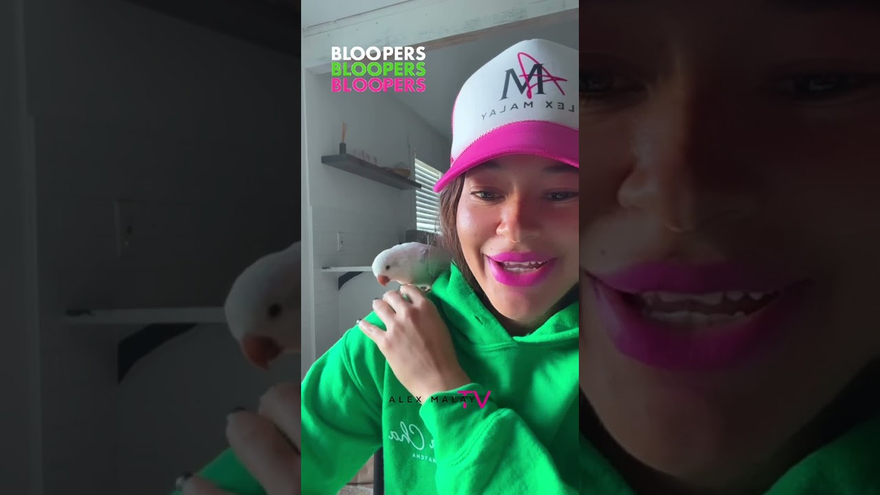 Exotic Fruit 🍉 Exotic Bird 🦜