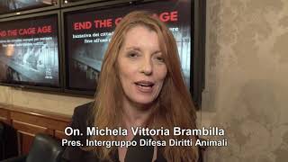 Michela Vittoria Brambilla - EndTheCageAge al Senato 5 marzo 2019