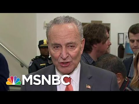 Chuck Schumer On President Donald Trump Defense Team: 'Their Whole Argument Is Diversion' | MSNBC