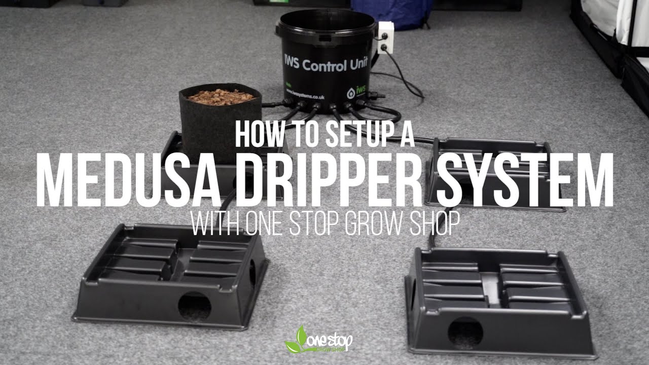 How to set up a Medusa Dripper System