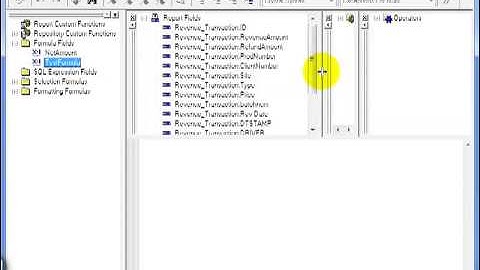 45 Crystal ReportsXI  Fields Dimensions Metrics 1    The Formula Editor
