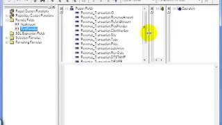 45 Crystal ReportsXI  Fields Dimensions Metrics 1    The Formula Editor