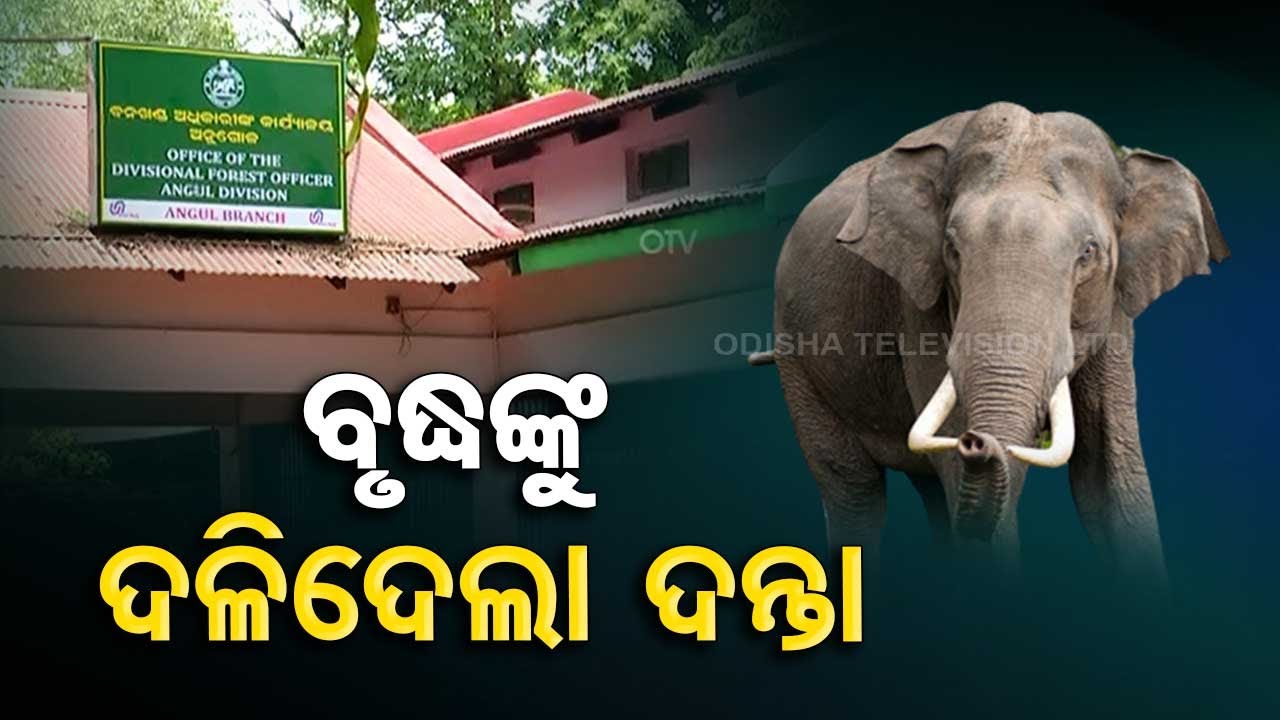 Elderly man trampled to death by elephant in Angul