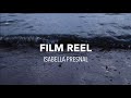 Film reel  isabella presnal