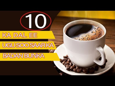 10 KA DAL EE  BUNKA UGU BADAN SOO SAARA ADUNKA  | SHABEEL MEDIA