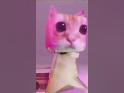 El gato phonk - short version - YouTube