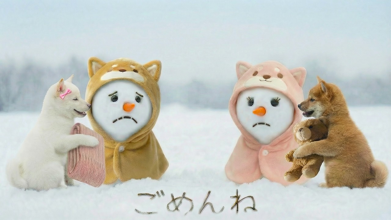 柴犬パピー小太郎、雪の日にお友達とケンカしちゃった...