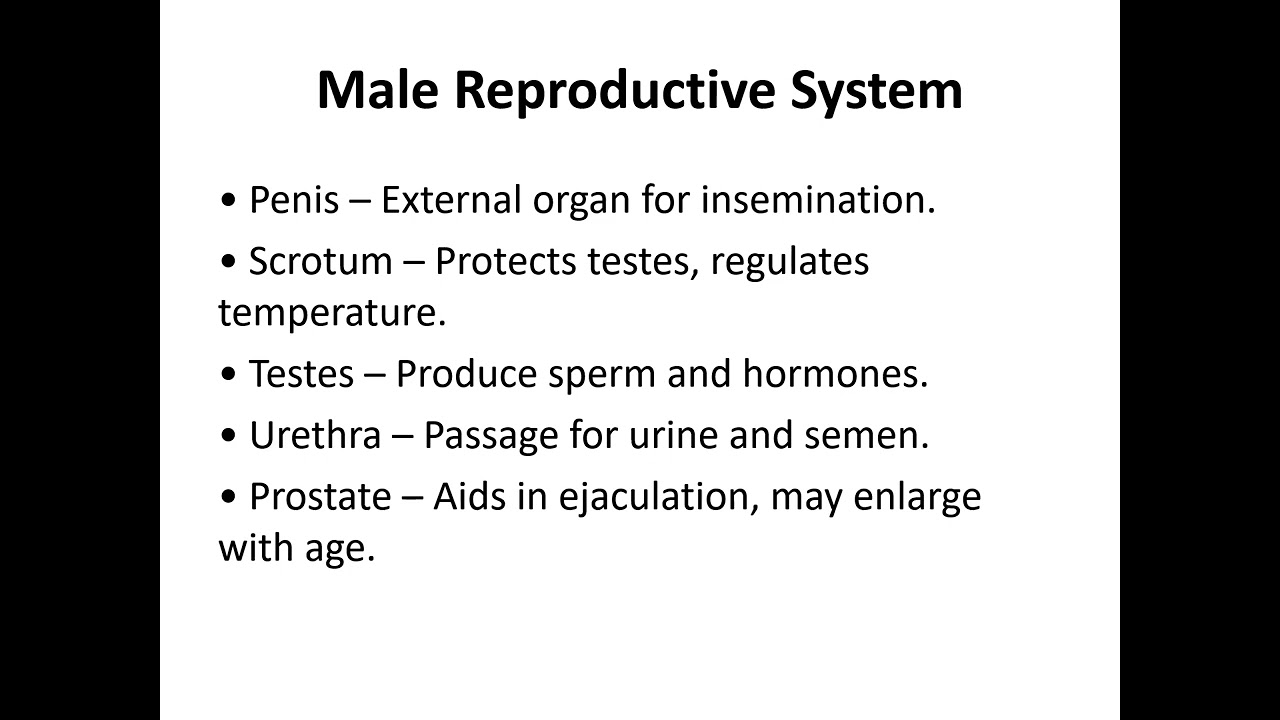Understanding the Self - Sexual Self