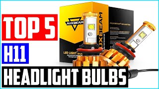 Best H11 Headlight Bulbs [Top 5 Picks]