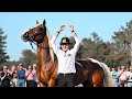 Good Magic…The next Super Sire???