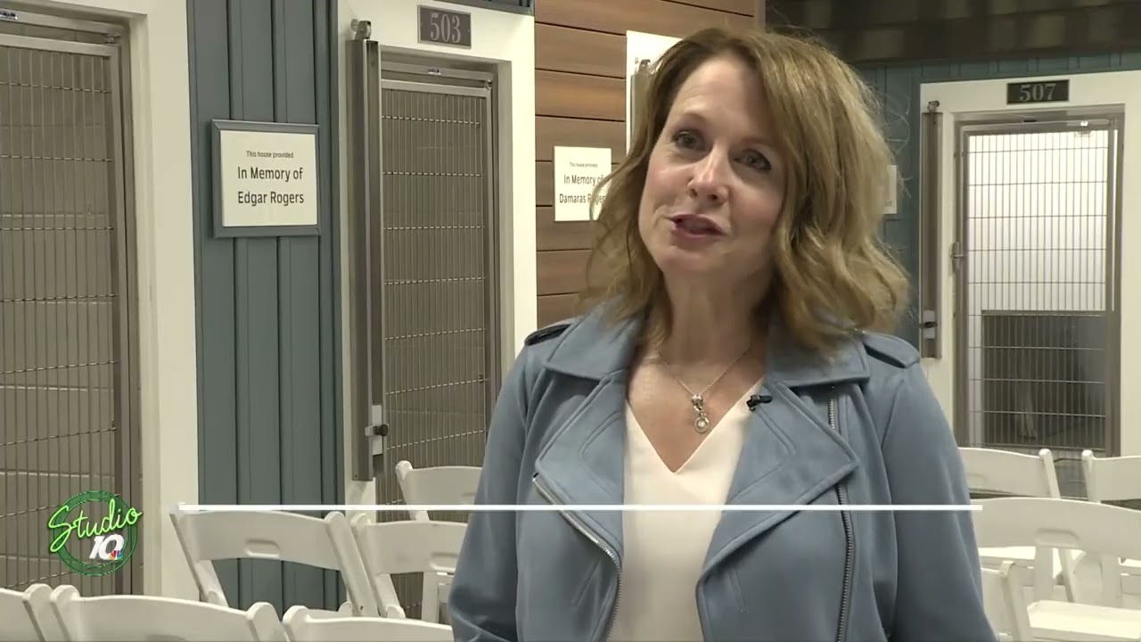 Visit the New Puppy and Dog Adoption Center