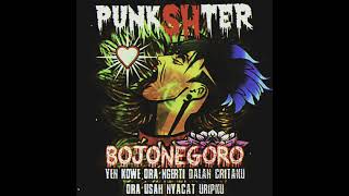 STORY WA PUNKSHTER