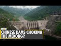 Fish stocks collapse in lower Mekong | Experts blame 'Chinese Dams' for crisis | Latest English News