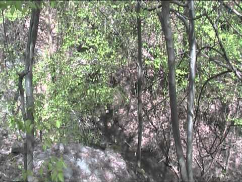 Пламен Дорумски с барак Лиска