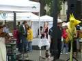 Arcata Folk Band II