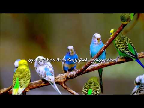 105. ფიილის სურა