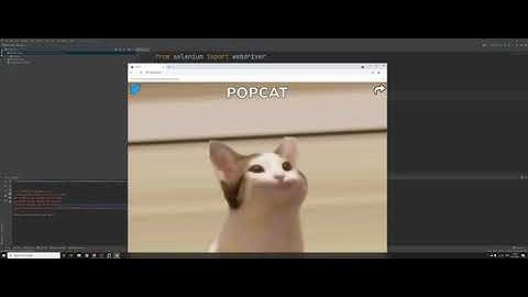 Basic web scraping [Python] EP.5 ทำ bot click popcat ด้วย selenium