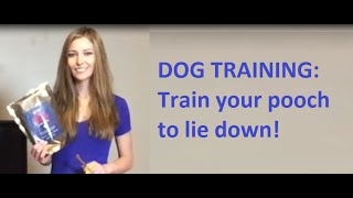 Dog Training Best Way To Make Your Pooch Lie Down