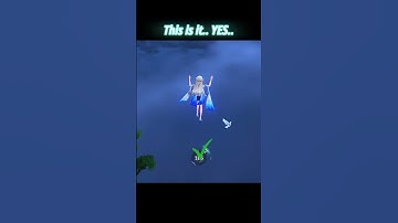 Flight Unlocked in Jinzhou and Black Shores | WuWa