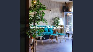 Vivacious Ambiance for Focus Tranquility