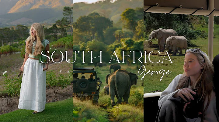 South Africa Diaries 🌴🐘 | George: The Most Incredible Safari! Beach Days & Stunning Sunsets thumbnail