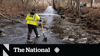 Rail company ordered to clean up water, soil after Ohio derailment