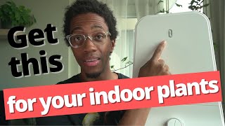 The 2 Best Humidifiers for Indoor Plants 2021