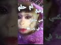 ام توفيق حليمه
